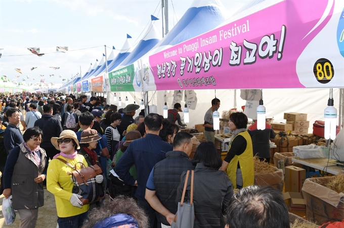 영주시 주최로 지난해 10월 열린 풍기인삼축제장을 찾은 관광객들이 인삼을 구입하기 위해 줄을 서 있다.