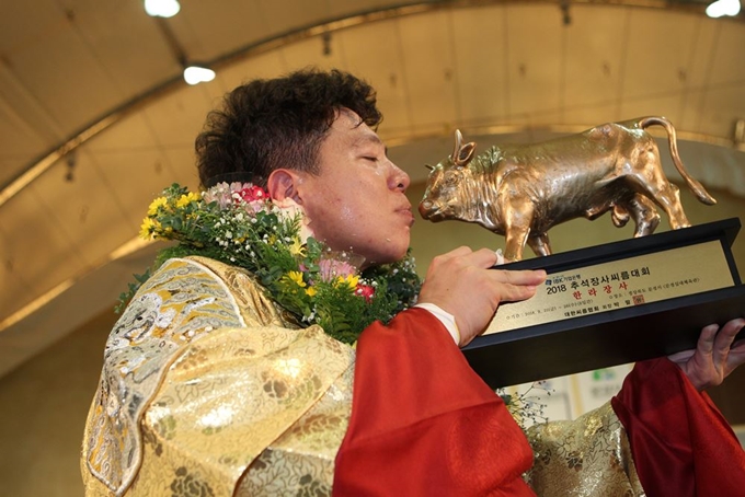 24일 경북 문경실내체육관에서 열린 'IBK기업은행 2018 추석장사씨름대회'에서 한라장사(105kg 이하)에 등극한 손충희(울산동구청)가 황소트로피에 입맞춤을 하고 있다. 대한씨름협회 제공