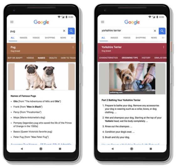 사용자가 입력한 검색어와 관련된 하위 주제들이 자동으로 나열된 모습. 퍼그를 검색했을 때(왼쪽)는 건강, 이름 등이, 요크셔 테리어를 검색하면 성격, 털 손질 등이 뜬다. 구글 제공