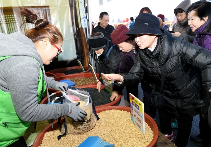 지난해 11월 24일부터 26일까지 경기 파주시 임진각 광장과 평화누리에서 열린 파주장단콩축제에서 관광객들이 장단콩을 사기 위해 살펴보고 있다. 파주시 제공