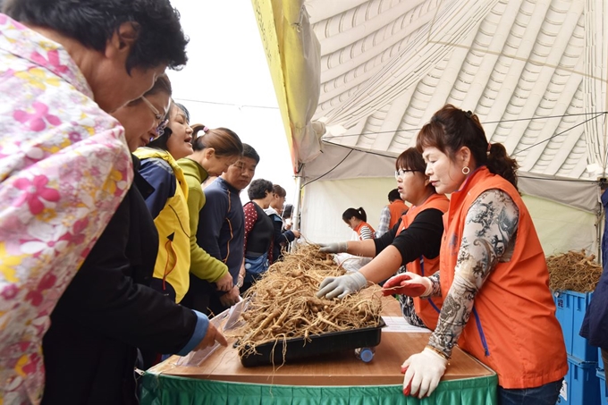 지난해 파주개성인삼축제에서 관광객들이 개성 인삼을 사러 판매대 앞에 모여 있다. 파주시 제공