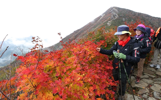 올가을 설악산 국립공원의 단풍이 본격적으로 시작된 28일 중청대피소 등산로 주변의 단풍 앞으로 탐방객들이 등산을 즐기고 있다. 연합뉴스