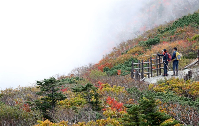 올가을 설악산 국립공원의 단풍이 본격적으로 시작된 28일 중청대피소 등산로 주변의 단풍 위로 운무가 내려앉고 있다. 연합뉴스