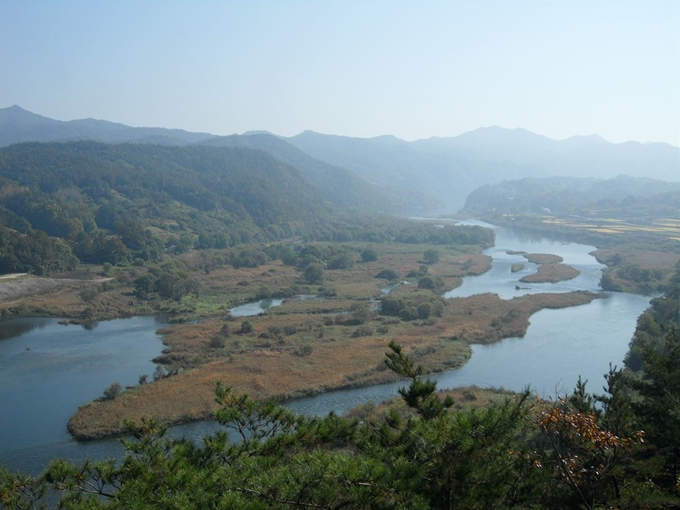 국내 최대 두드럭조개 집단 서식지인 금강 천내습지 전경. 국립생태원 제공