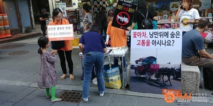 지난달 9일 인사동에서 '도로 위에서의 꽃마차금지를 위한 도로교통법 개정 서명운동'이 진행되는 모습. HAI 제공