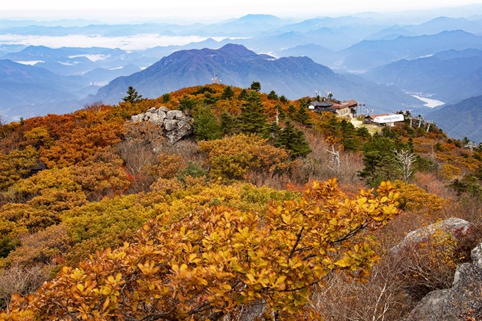 8일 전북 무주군 국립공원 덕유산이 울긋불긋 가을옷으로 갈아입었다. 설천봉~향적봉~중봉으로 이어지는 주요능선에는 단풍이 들기 시작 예년보다 5일정도 늦은 이번 주말 절정을 이룰 것으로 예상하고 있다. 연합뉴스