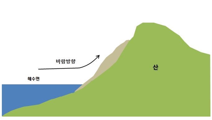 상승사구의 구조. 국립생태원 제공