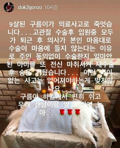 도끼가 반려견 죽음 소식을 알렸다. 도끼 인스타그램