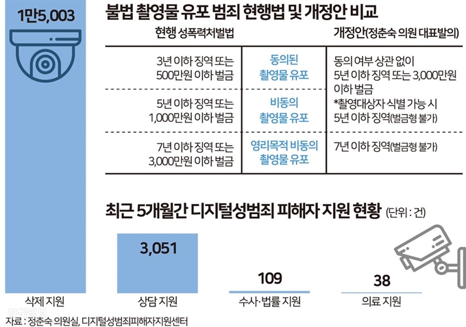 [저작권 한국일보] 불법촬영물 유포 범죄현행법. 송정근 기자