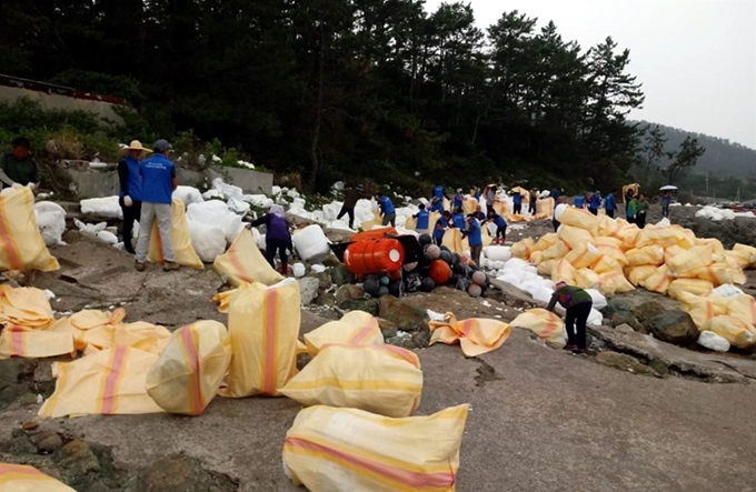 전남 완도군은 지난달 20일 (사)완도낭장망협회 회원과 공무원 등이 보길면 여항리 목섬 등 무인도서에서 해양쓰레기 수거 활동을 벌였다. 완도군 제공