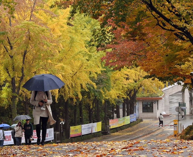 가을비가 내린 26일 단풍이 짙게 물든 서울 서대문구 서강대학교 교정을 학생들이 걷고 있다. 신상순 선임기자