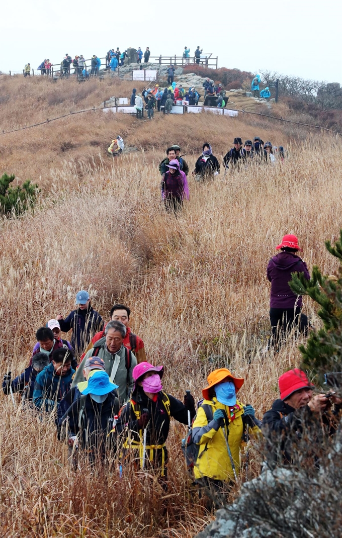 27일 광주 무등산국립공원에서 등산객들이 억새밭 사이를 걸으며 산을 오르고 있다. 연합뉴스