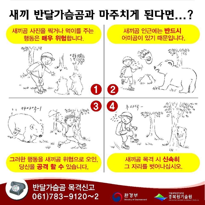 새끼 반달가슴곰과 마주칠 때 대처법. 국립공원관리공단 제공