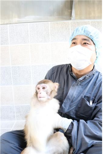 사육되고 있는 붉은털원숭이 모습. 한국생명공학연구원 제공