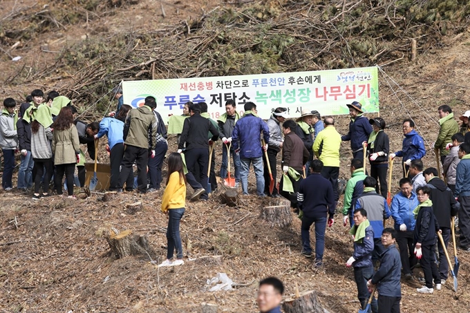 천안시 공무원들이 지난 3월 나무를 심고 있다. 천안시 제공