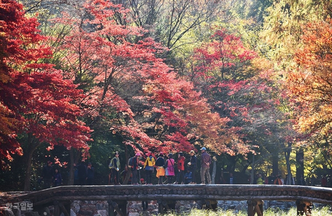 여행객들이 울긋불긋 색깔 고운 단풍을 배경으로 사진을 찍고 있다.