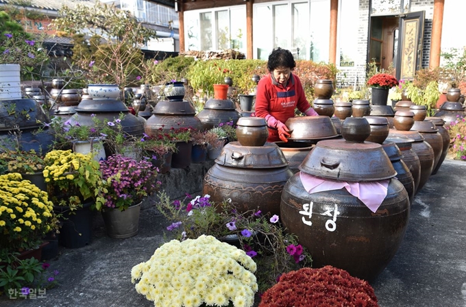 순창고추장민속마을의 한옥 마당마다 장을 숙성시키는 항아리가 그득하다.