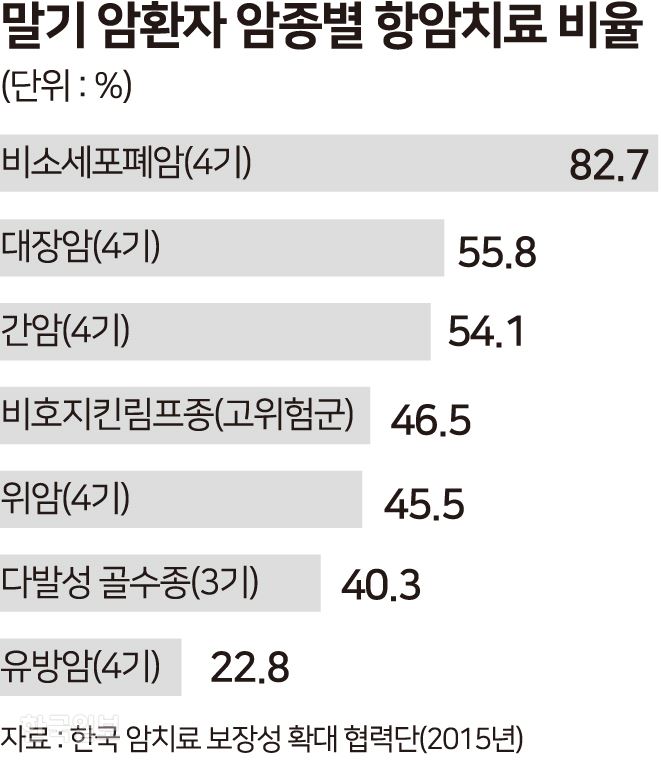 말기 암환자 암종별 항암치료. 그래픽=송정근 기자