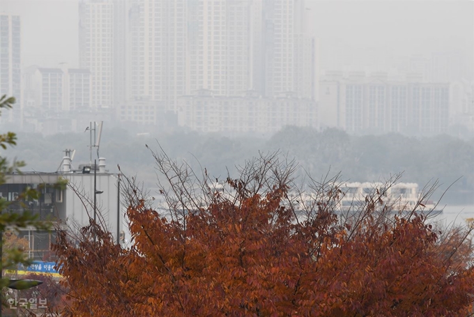 전국적으로 미세먼지가 기승을 부린 6일 오후 단풍이 물든 서울 한강공원 여의도지구 뒤편 밤섬과 마포일대가 뿌옇다.