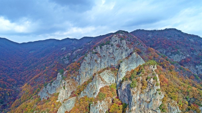 9일 전남 장성군 내장산 국립공원 학바위 주변의 막바지 단풍이 절정을 이루고 있다. 내장산국립공원백암사무소는 "단풍잎이 많이 떨어지고 있어 이번 주말 탐방객이 몰릴 것으로 보인다"며 "체력에 맞는 코스를 골라 안전한 가을 나들이가 되기를 바란다"고 당부했다. 내장산국립공원백암사무소 제공=연합뉴스