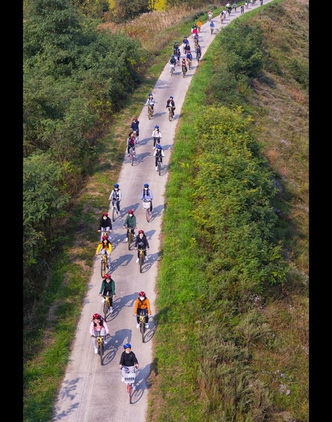 11회 상주사랑전국관광사진전 금상 수상작 최경태씨 '행진'. 상주시 제공