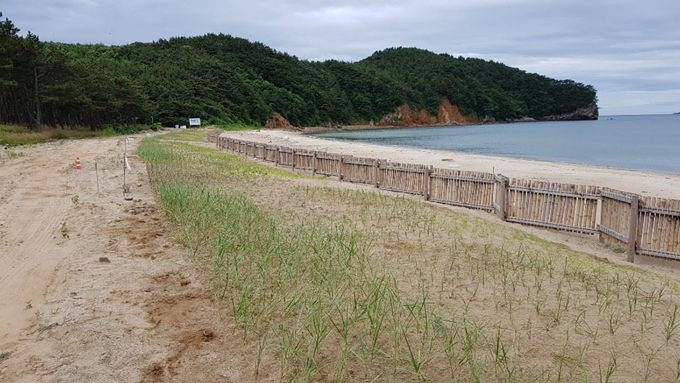 연안정비 사업이 진행되고 있는 꽃지해수욕장 모습. 충남도 제공.