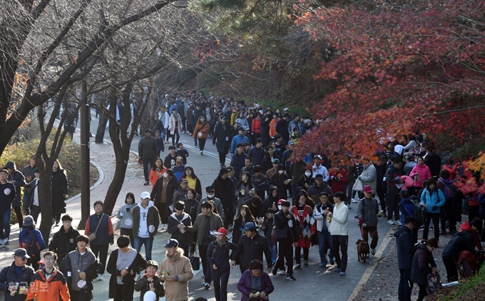 신상순 선임기자