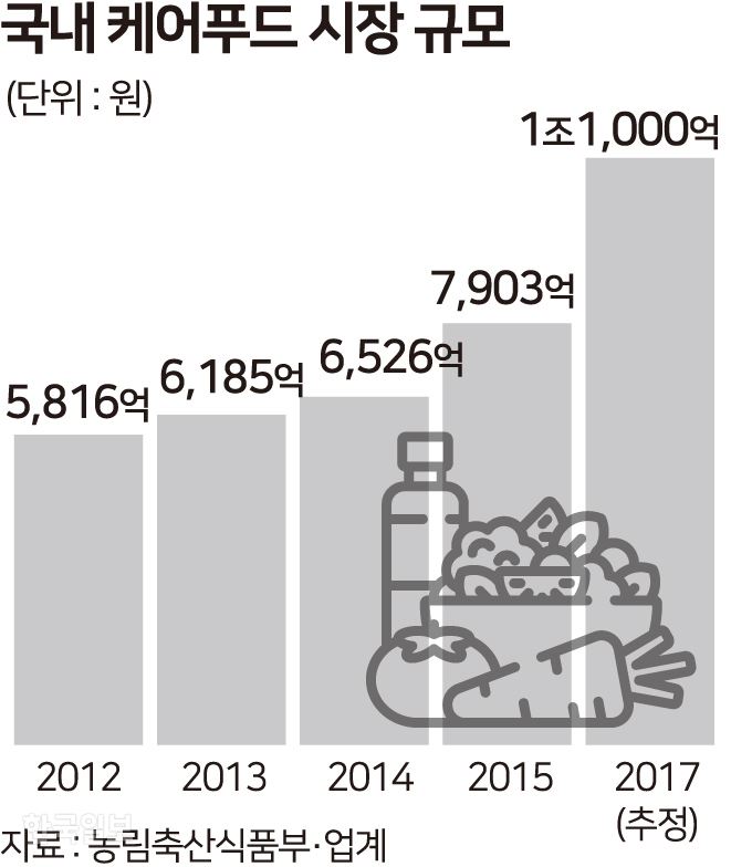 국내 케어푸트 시장 규모. 그래픽=송정근기자