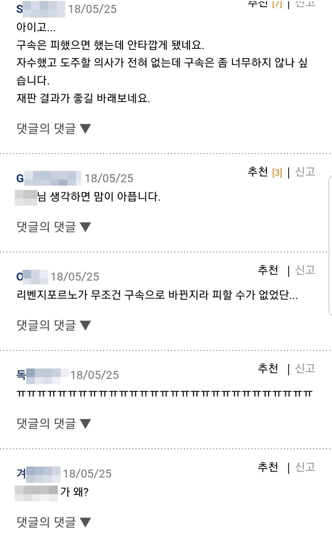 B씨가 불법 영상 유포 혐의로 구속된 사실이 알려진 5월 유명 온라인 커뮤니티 회원들이 B씨를 응원하는 모습. 해당 커뮤니티 캡처