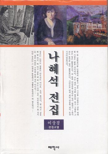 '나혜석 전집' 표지.