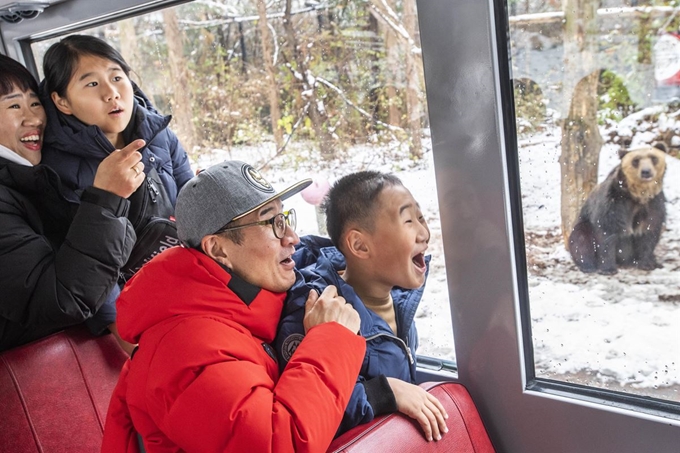 지난 24일 경기 용인시 에버랜드에서 열린 희망나눔 페스티벌 참가자들이 사파리를 즐기고 있다. 에버랜드 제공/2018-11-25(한국일보)