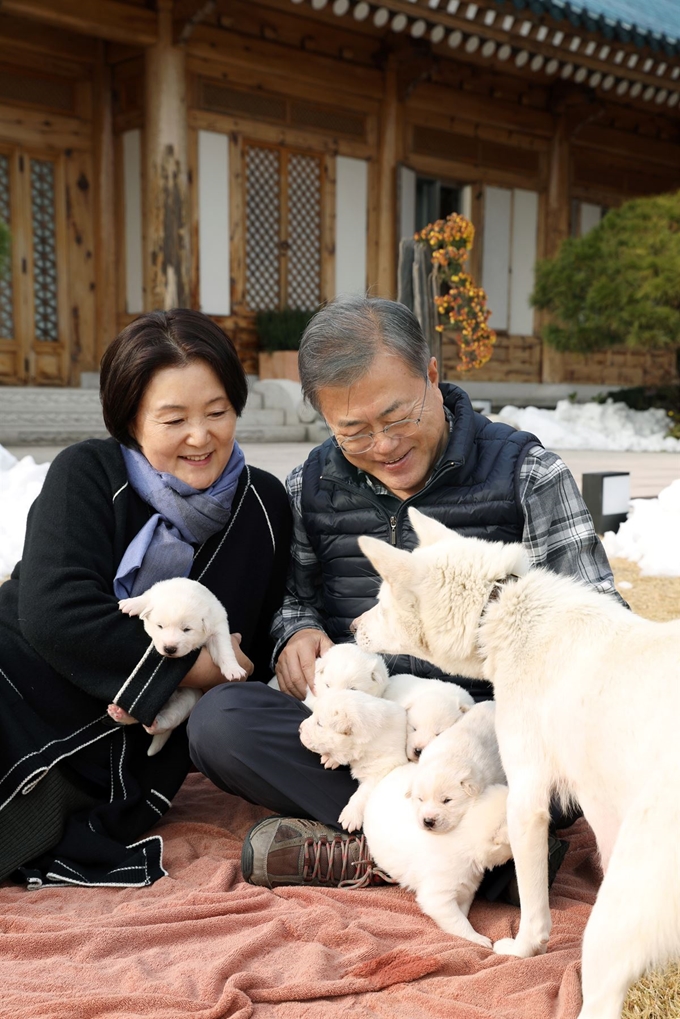 문재인 대통령과 부인 김정숙 여사가 25일 오후 관저 앞마당에서 지난 9일 태어난 풍산개 '곰이'의 새끼들을 살펴보고 있다. 청와대 제공