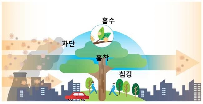 숲의 미세먼지 저감과정