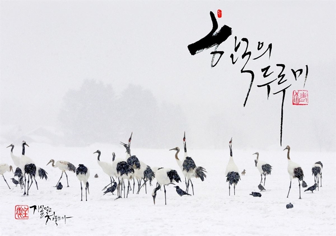 한국 두루미 모습을 촬영한 사진 작품에 김 교수가 쓴 캘리그라피가 담겨 있다. 고광준 교수 제공