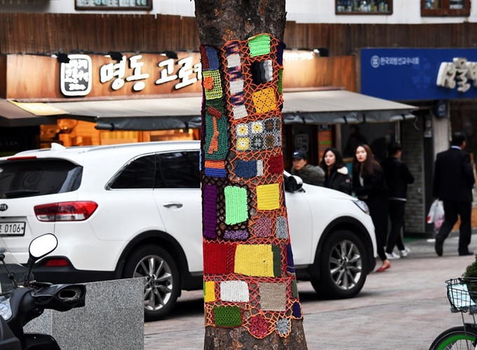 명동성당 입구 가로수에 방한을 위한 옷이 입혀져 있다.