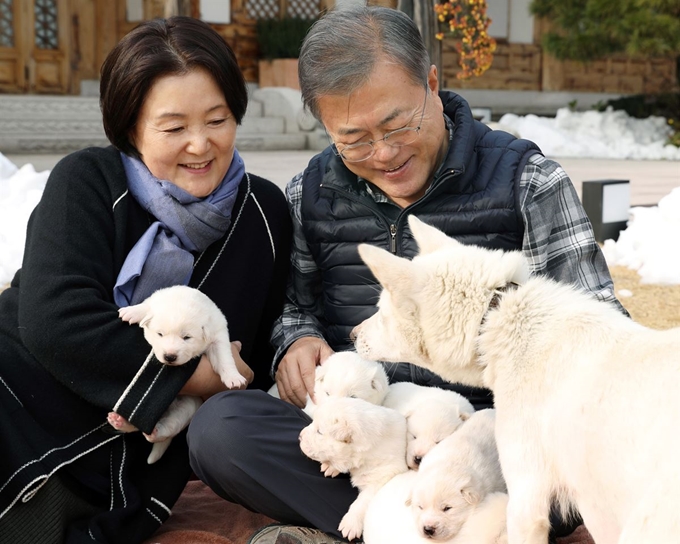 문재인 대통령과 부인 김정숙 여사가 25일 오후 관저 앞마당에서 지난 9일 태어난 풍산개 '곰이'의 새끼들을 살펴보고 있다. 청와대 제공