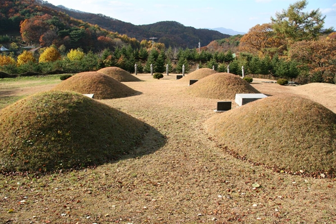 천진암 성지내 천주교회 창립선조 가족 묘지. 오른쪽이 앞부터 조부 정지해, 부친 정재원, 형 정약전 등 다산 쪽 가족 묘이고, 왼쪽은 앞부터 부친 이보만, 동생 이격 등 이벽의 가족 묘다.