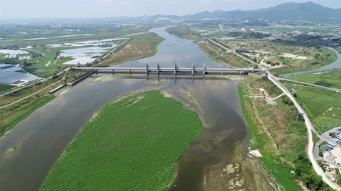 지난 7월 영산강 승촌보 주변에 드러난 모래톱. 연합뉴스