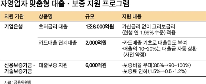 자영업자 맞춤형 대출ㆍ보증 지원 프로그램. 그래픽=박구원 기자.