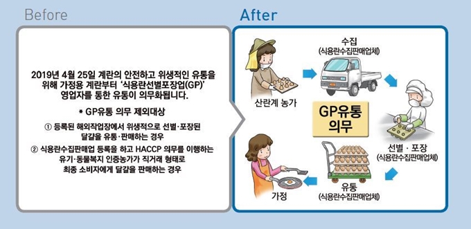 '식용란선별포장업(GP센터)' 영업자 통한 유통 의무화. 기획재정부 제공