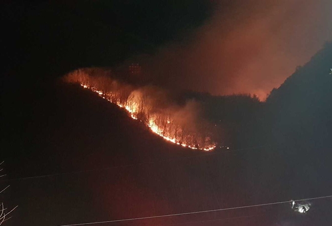 지난 28일 오후 8시 43분쯤 강원 삼척시 미로면 하정리에서 발생한 산불이 강한 바람을 타고 확산하고 있다. 강원소방본부 제공