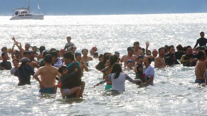 1일 제주 서귀포시 중문색달해수욕장에서 열린 서귀포 겨울바다 펭귄수영대회에서 참가자들이 바다 수영을 즐기고 있다. 연합뉴스