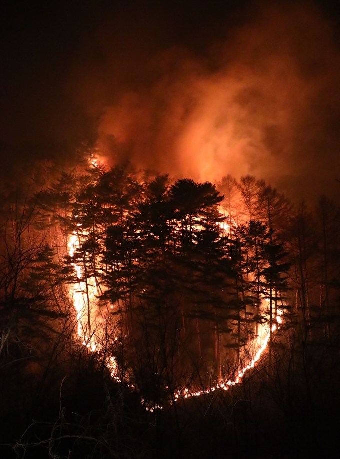 1일 오후 4시12분쯤 강원도 양양군 서면 송천리 일대 야산에서 불이나 바람을 타고 불길이 번지고 있다. 양양군은 민가 피해 최소화를 위해 산불현장 인근 주민 100여명에게 문자로 대피령(상평초등학교)을 내린 상황이다. 뉴스1