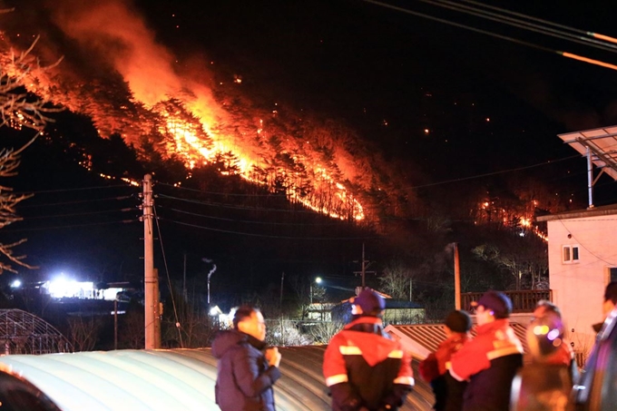 1일 오후 4시 12분께 강원 양양군 서면 송천리 한 야산에서 난 불이 마을 주변으로 번지자 진화에 나선 산림청 직원들이 걱정스러운 모습으로 지켜보고 있다. 연합뉴스