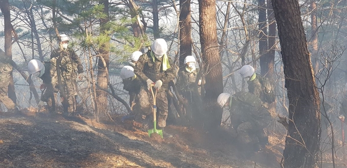 양양군 서면 송천리 산불현장에 투입된 군 장병들이 잔불 정리를 하고 있다. 육군 제8군단 제공