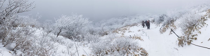 한라산 등산로는 언제나 가장 위험한 곳이 가장 아름다웠다. 쉽게 주지 않는 산이다.