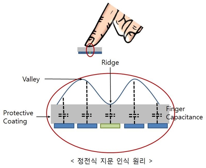 정전용량식 지문인식