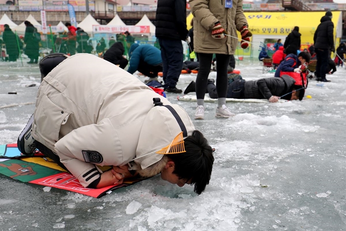 글로벌 육성축제로 거듭난 화천산천어축제 개막 둘째주말을 맞은 12일 축제장인 강원도 화천군 화천천 일원 빙판 위에서 관광객이 산천어를 낚기 위한 고패질에 여념이 없는 모습이다. 뉴스1