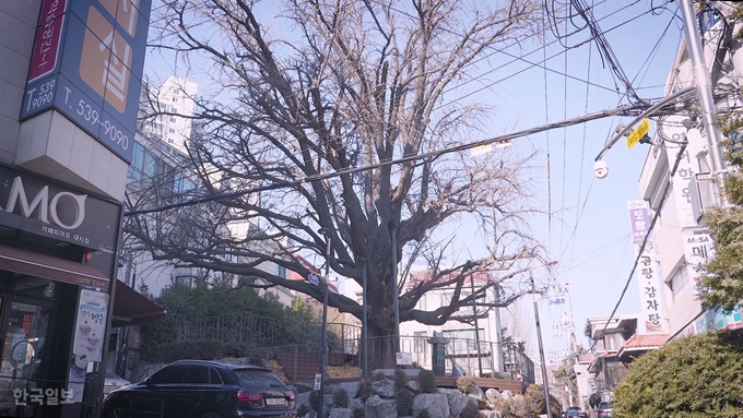 [저작권 한국일보]