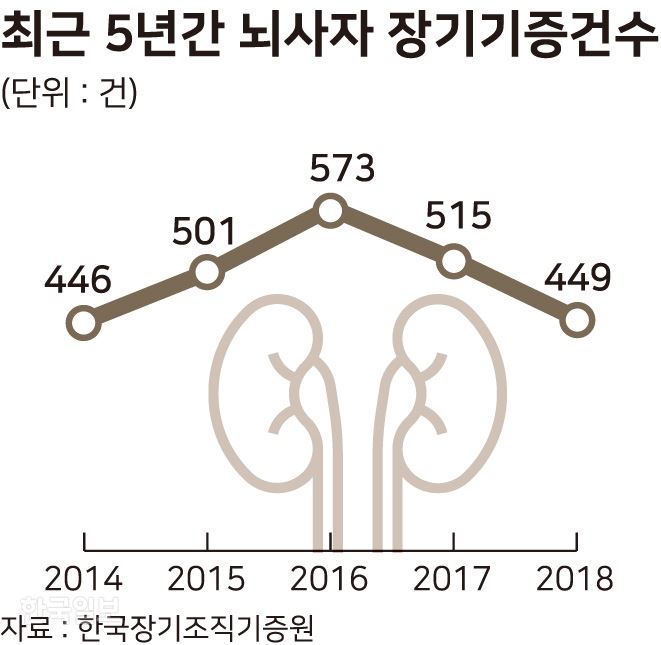 최근 5년간 뇌사자 장기기증건수. 그래픽=송정근 기자